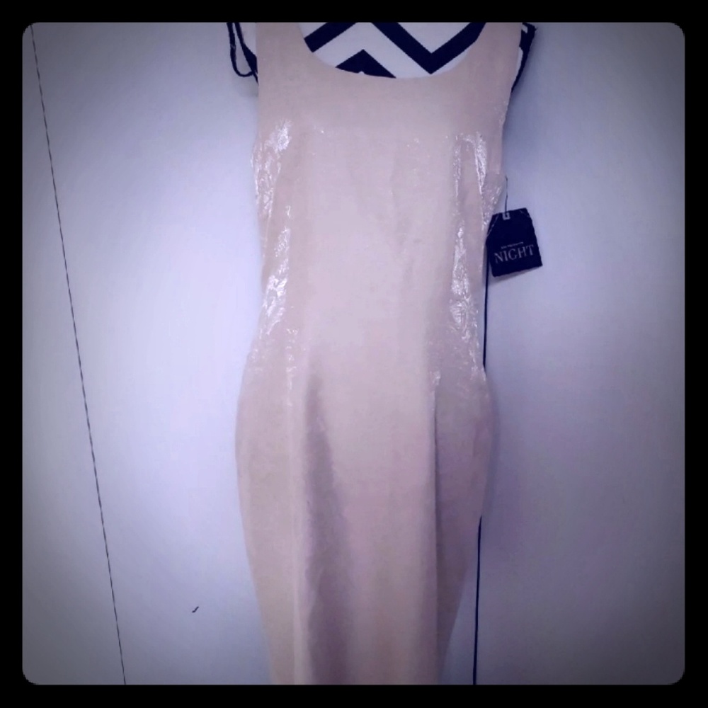 NWT Liz Claiborne Night evening dress